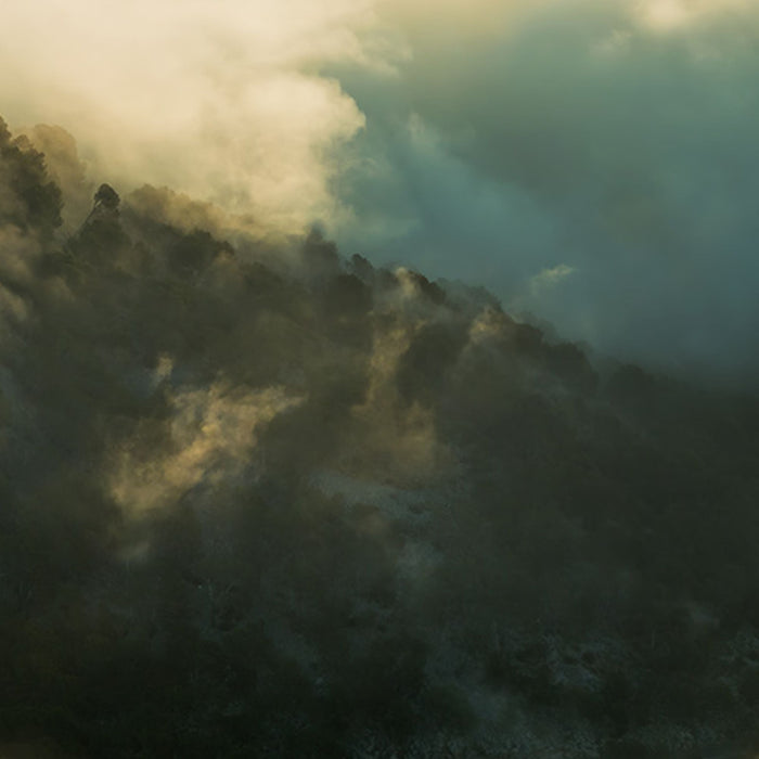 Vlies Fototapete | Pangea | Größe 450 x 280 cm