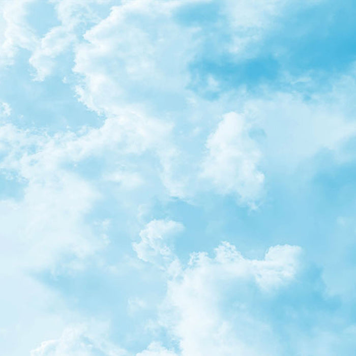 Vlies Fototapete | Himmelszelt  | Größe 200 x 250 cm