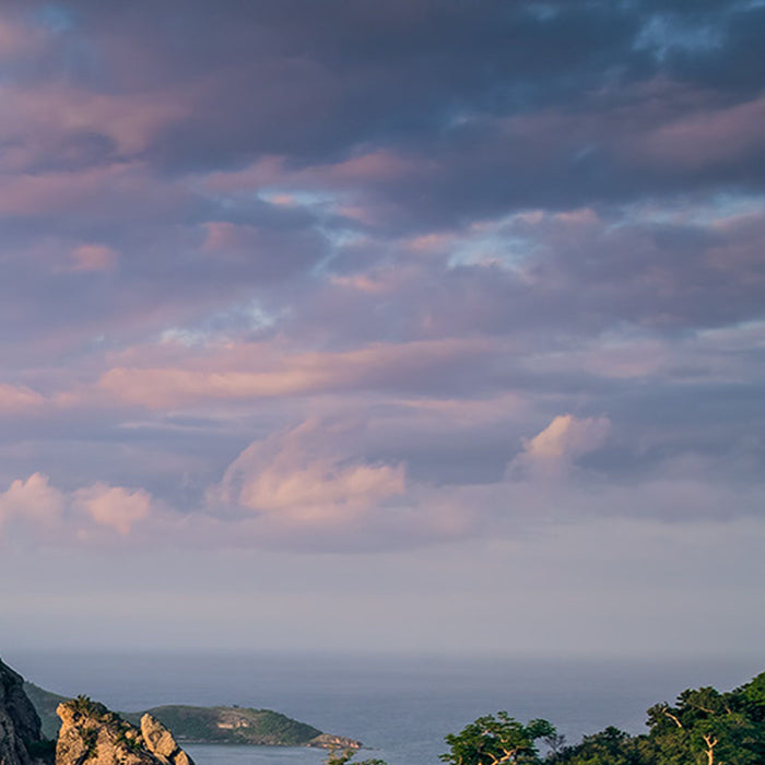 Vlies Fototapete | Monkey Island | Größe 350 x 200 cm