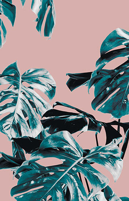 Vlies Fototapete | Monstera Rosé Panel | Größe 100 x 250 cm