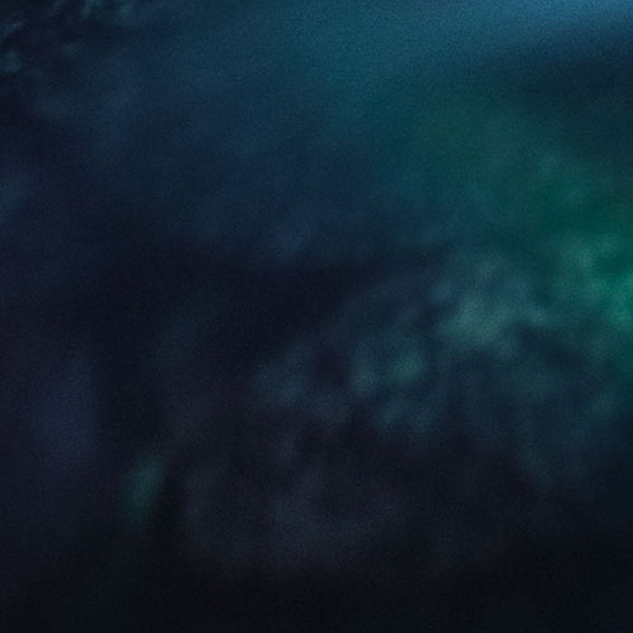 Vlies Fototapete | The Coronation | Größe 200 x 250 cm