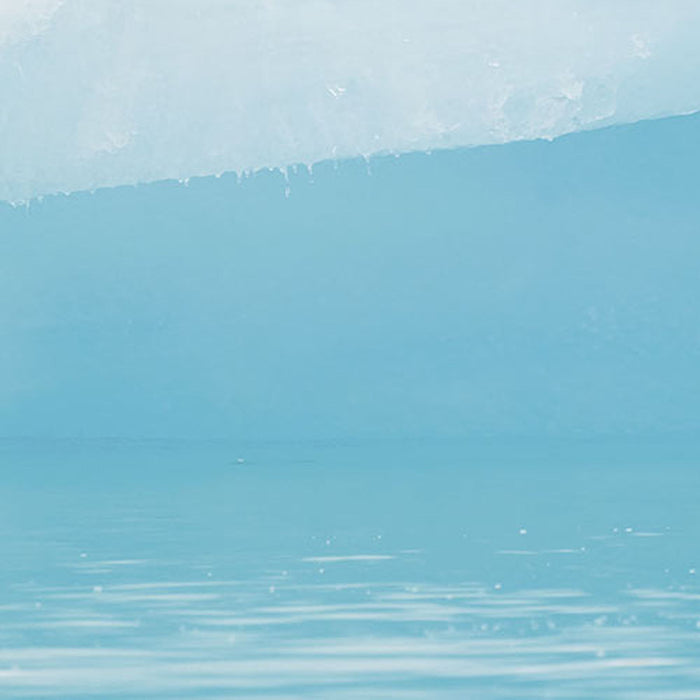 Komar | Papier Fototapete | Arctic Polar Bear | Größe 368 x 254 cm