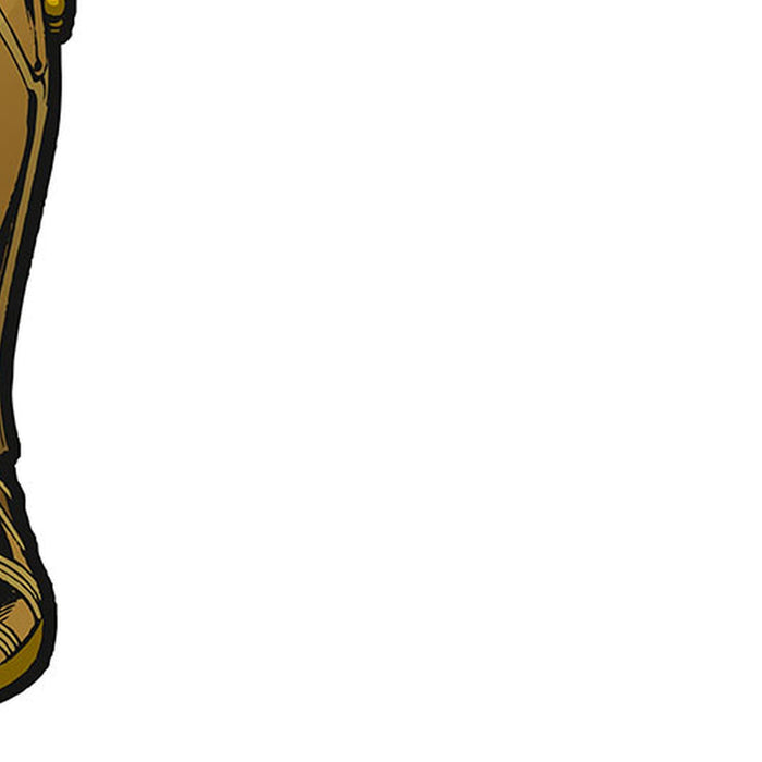 Selbstklebende Vlies Fototapete/Wandtattoo | Star Wars XXL C|3PO | Größe 127 x 200 cm