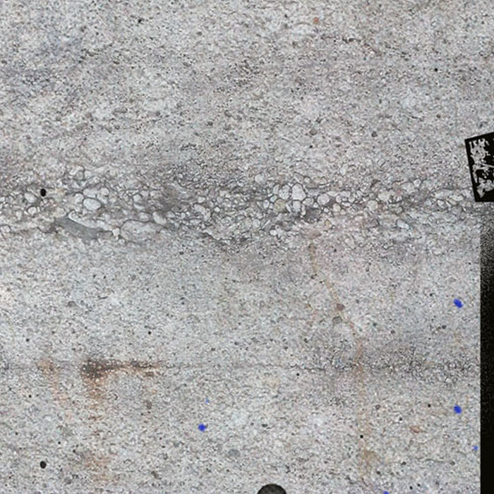 Vlies Fototapete | Star Wars Celebrate The Galaxy | Größe 120 x 200 cm