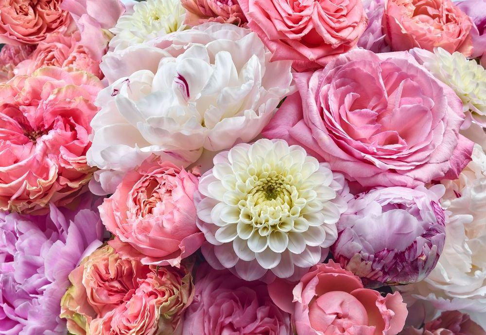 Papier Fototapete | Vibrant Spring | Größe 368 x 254 cm