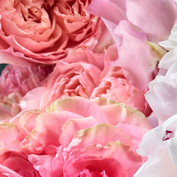 Papier Fototapete | Vibrant Spring | Größe 368 x 254 cm