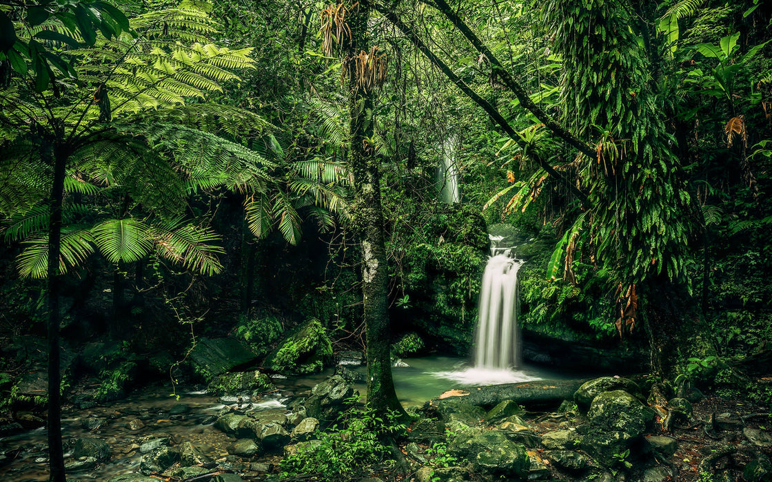 Vlies Fototapete | My Hidden Treasure | Größe 400 x 250 cm