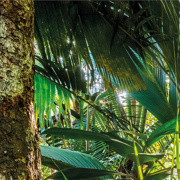 Papier Fototapete | Jungle Trail | Größe 368 x 254 cm