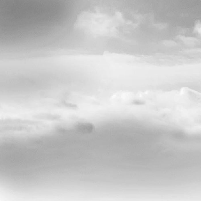 Papier Fototapete | NYC Black And White | Größe 368 x 254 cm