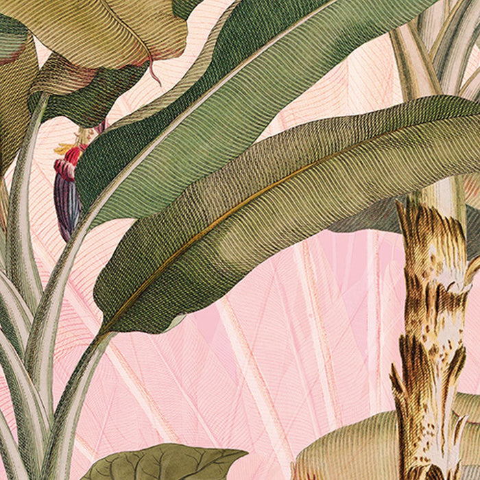 Vlies Fototapete | Plantation | Größe 350 x 270 cm