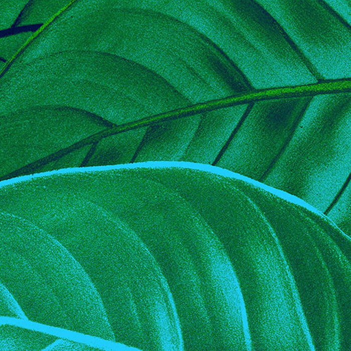 Vlies Fototapete | Jungle Leaves | Größe 200 x 250 cm