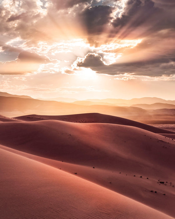 Vlies Fototapete | God Rays | Größe 200 x 250 cm