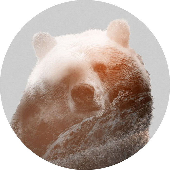 Selbstklebende Vlies Fototapete/Wandtattoo | Bearava | Größe 125 x 125 cm