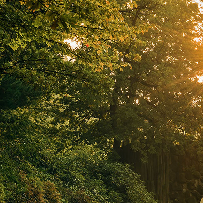 Vlies Fototapete | Devil's Bridge | Größe 400 x 250 cm