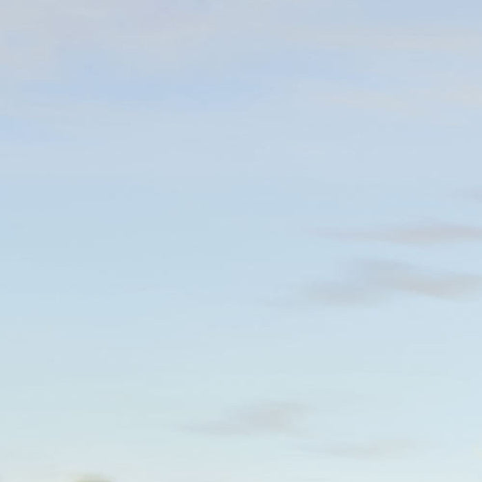 Papier Fototapete | Cars Beach Race | Größe 368 x 254 cm