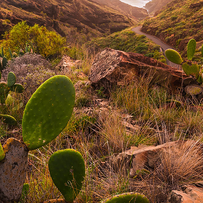 Vlies Fototapete | Warmes Licht | Größe 200 x 280 cm