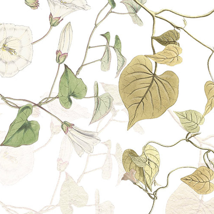 Vlies Fototapete | Hedera | Größe 300 x 280 cm