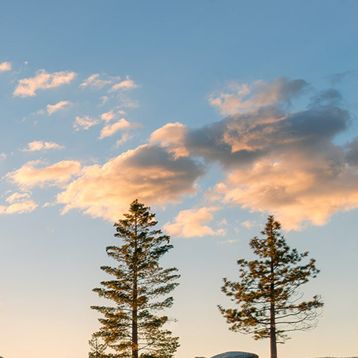 Vlies Fototapete | Final Light | Größe 450 x 280 cm