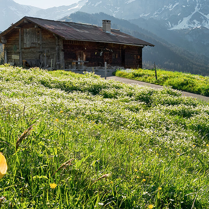 Komar | Vlies Fototapete | Alpenglück | Größe 400 x 280 cm