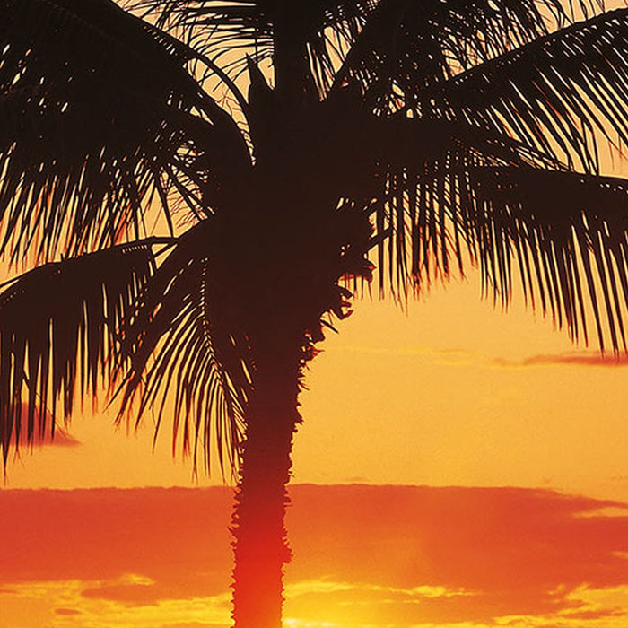 Vlies Fototapete | Hawaii | Größe 100 x 280 cm