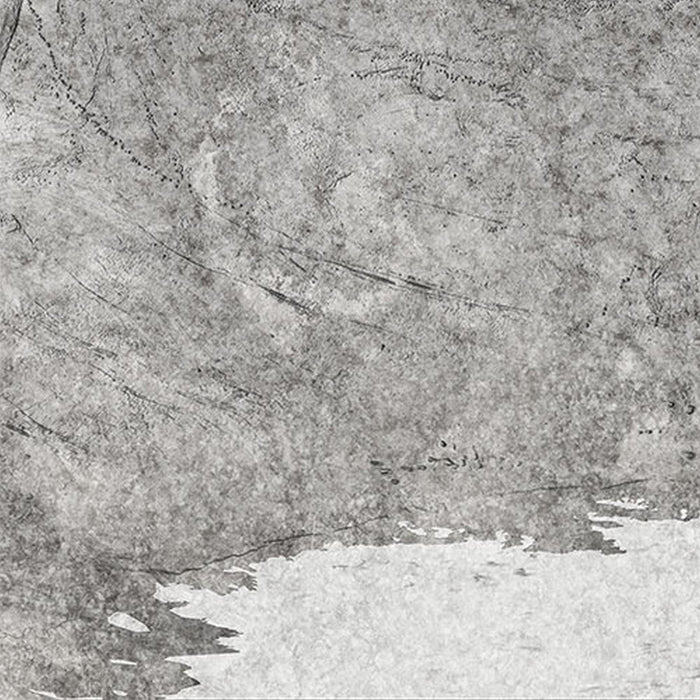 Vlies Fototapete | World Relief  | Größe 350 x 250 cm