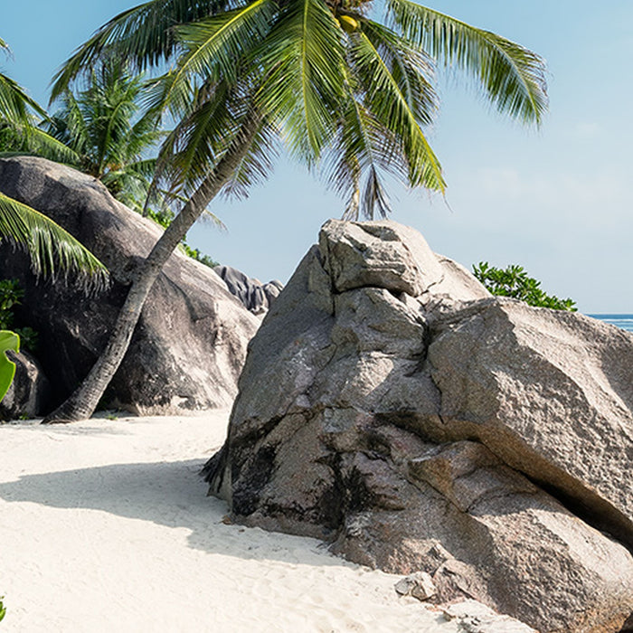 Vlies Fototapete | Tagträume | Größe 450 x 280 cm