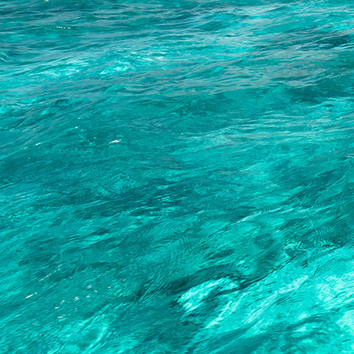 Vlies Fototapete | Schatzinsel | Größe 450 x 280 cm