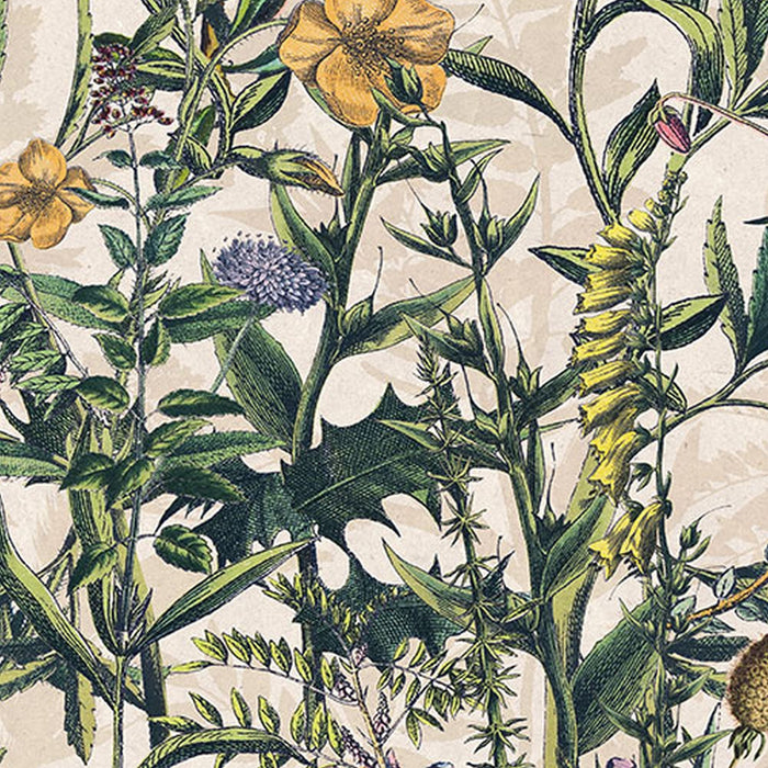 Vlies Fototapete | Flowering Herbs  | Größe 200 x 250 cm