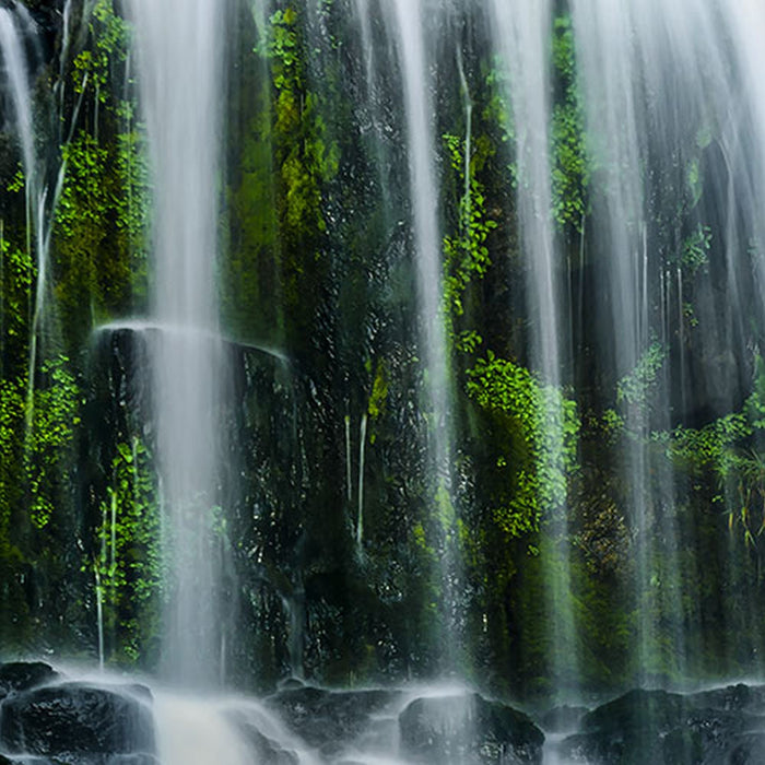 Vlies Fototapete | Ensemble of Veils | Größe 300 x 250 cm