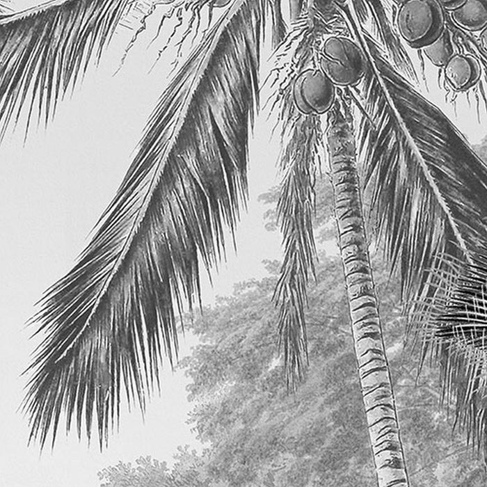 Vlies Fototapete | Lac Tropical Black & White | Größe 200 x 270 cm