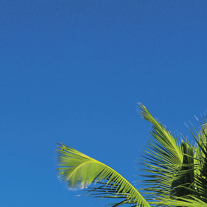 Komar | Fototapete | Seychellen | Größe 254 x 184 cm