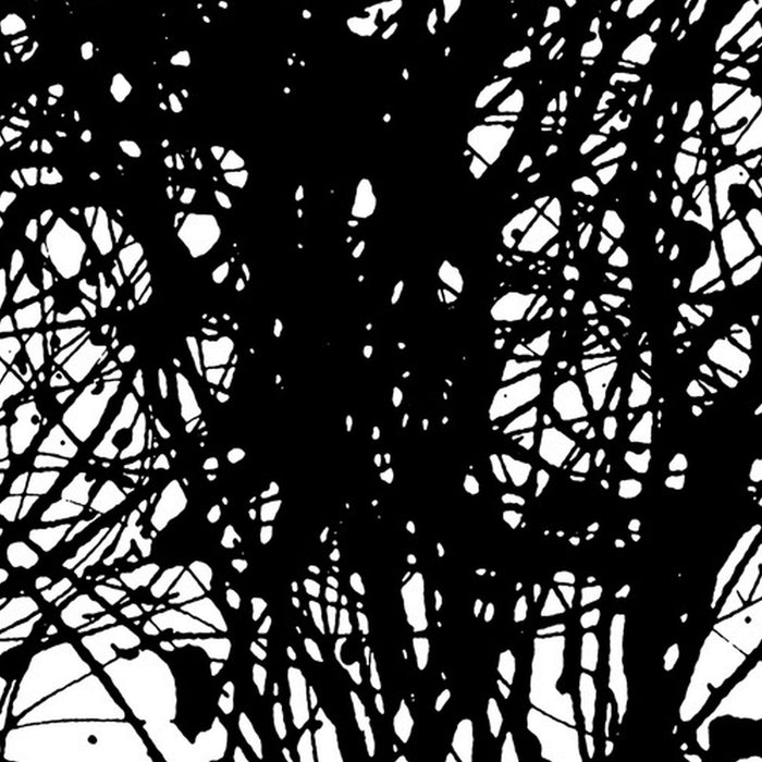 Komar | Vlies Fototapete | Curls | Größe 200 x 250 cm