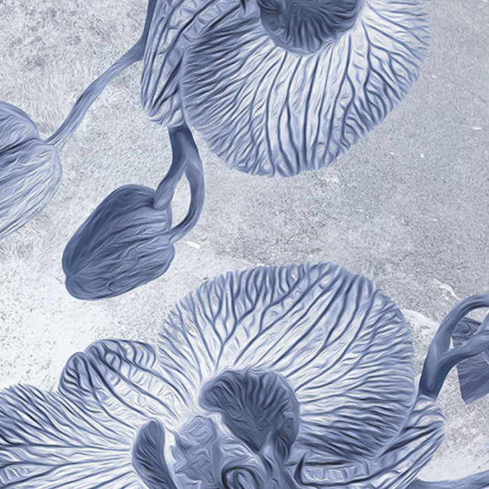 Vlies Fototapete | Orchidée | Größe 200 x 250 cm