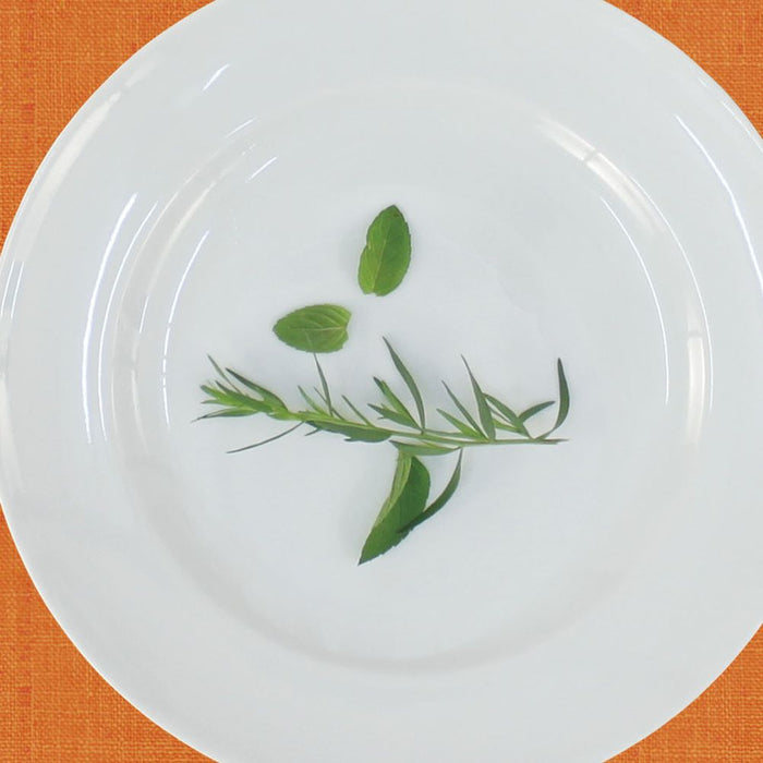 Apelt | Arizona | Platzset | 32x45 | orange