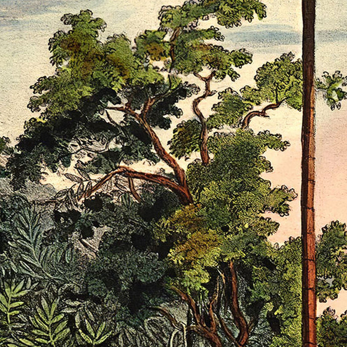 Komar | Selbstklebende Vlies Fototapete/Wandtattoo | Vintage Landscape  | Größe 125 x 125 cm