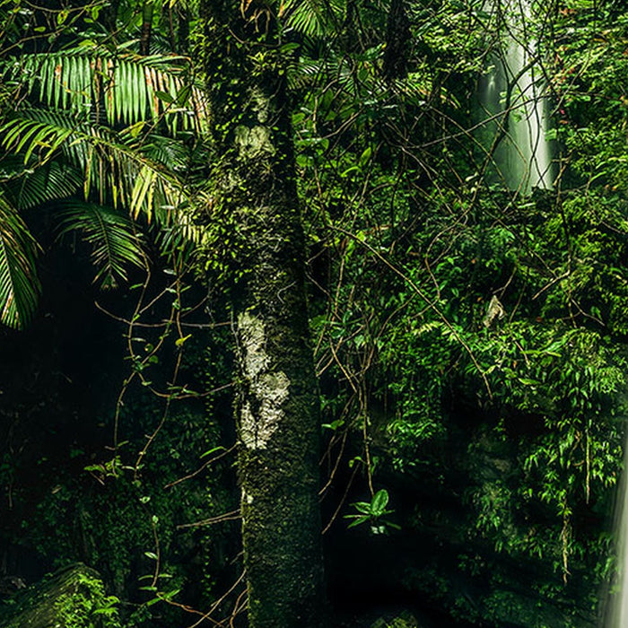 Vlies Fototapete | My Hidden Treasure | Größe 400 x 250 cm