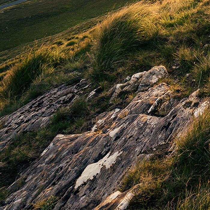 Vlies Fototapete | Abenteuerland | Größe 400 x 280 cm