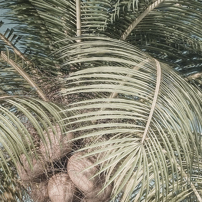 Vlies Fototapete | Palm Oasis | Größe 200 x 280 cm