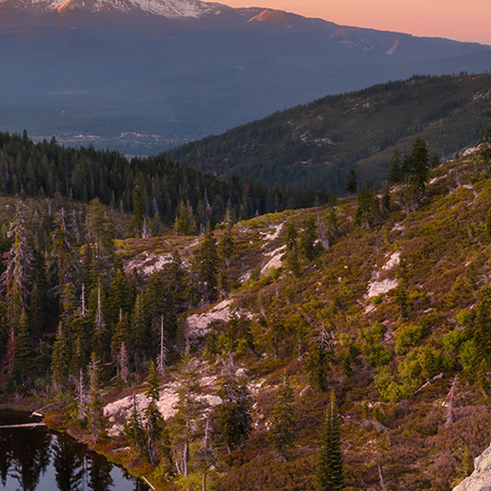 Vlies Fototapete | Between the Light | Größe 450 x 280 cm