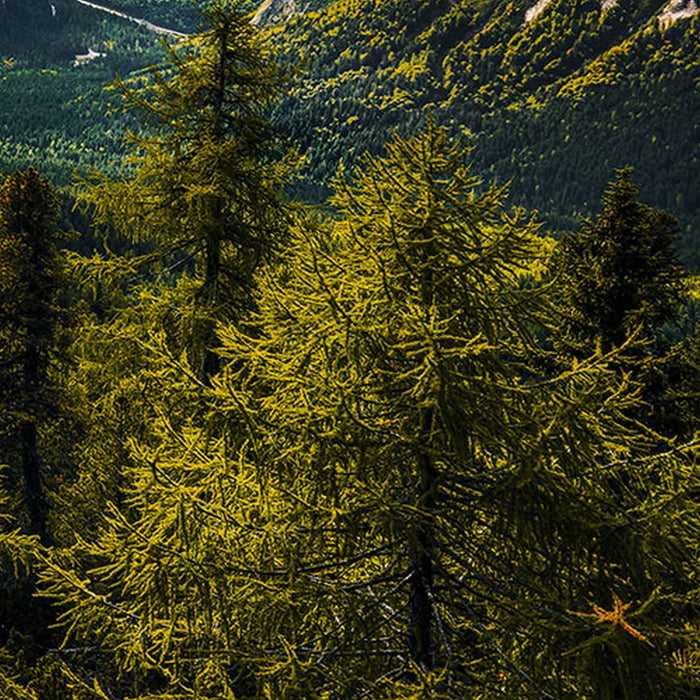 Vlies Fototapete | Wild Dolomites | Größe 200 x 100 cm