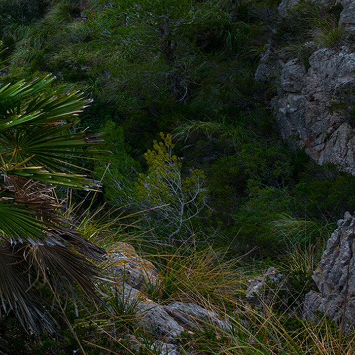 Komar | Vlies Fototapete | Emerald Cove | Größe 400 x 250 cm