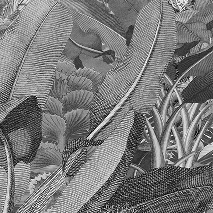 Vlies Fototapete | Amazonia Black and White | Größe 400 x 250 cm