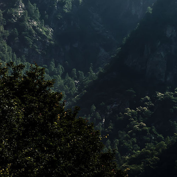 Vlies Fototapete | The Summit | Größe 300 x 200 cm