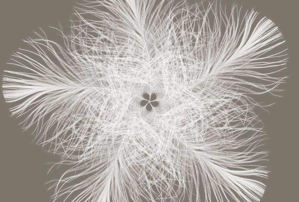 Vlies Fototapete | Federstern | Größe 368 x 248 cm