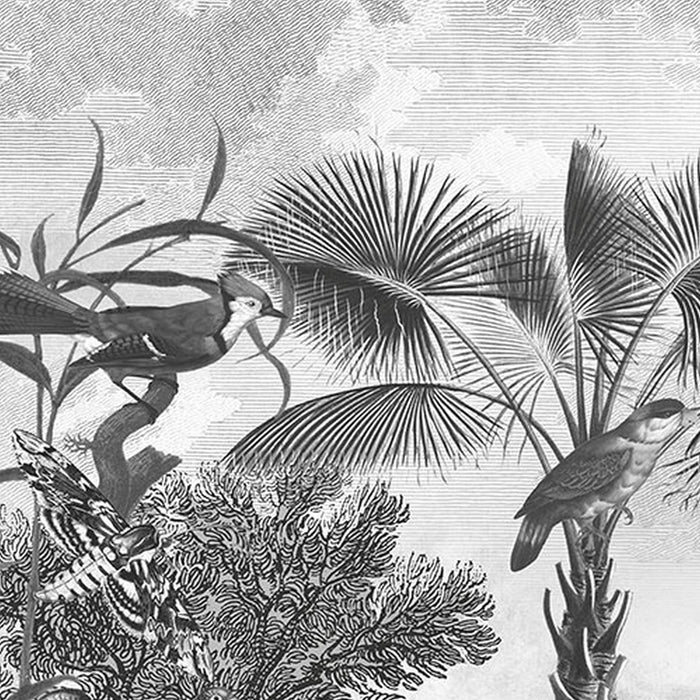 Komar | Vlies Fototapete | Flora and Fauna  | Größe 350 x 250 cm