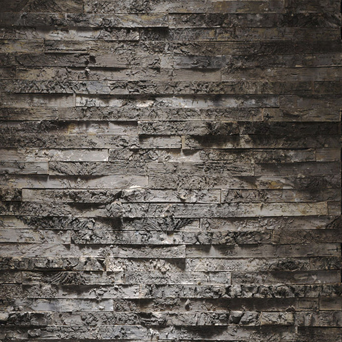 Papier Fototapete | Birkenrinde | Größe 368 x 254 cm