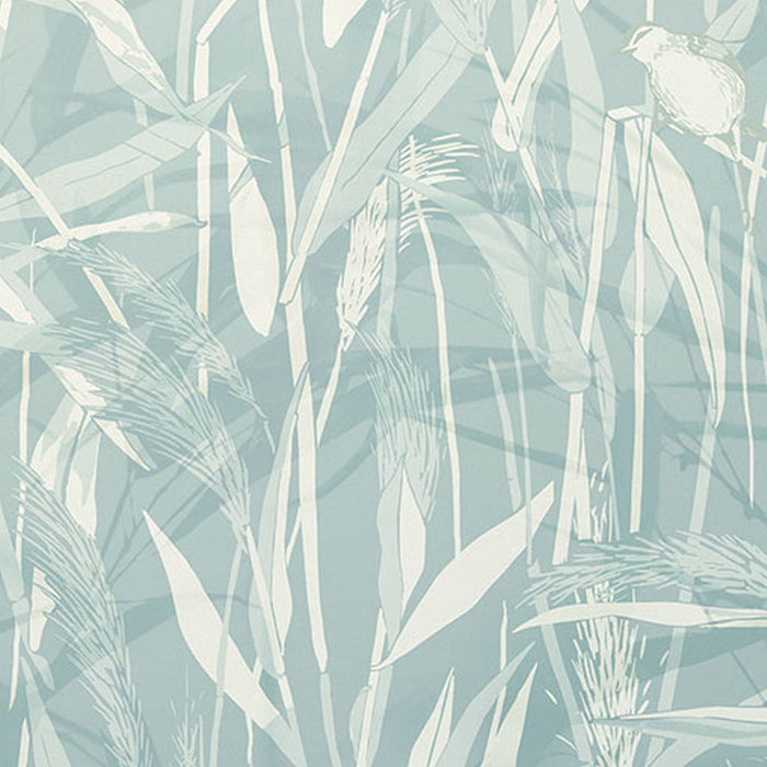 Vlies Fototapete | Reed  | Größe 300 x 250 cm