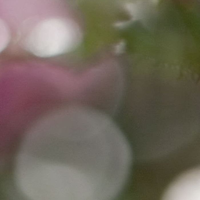 Komar | Fototapete | Bouquet | Größe 184 x 254 cm