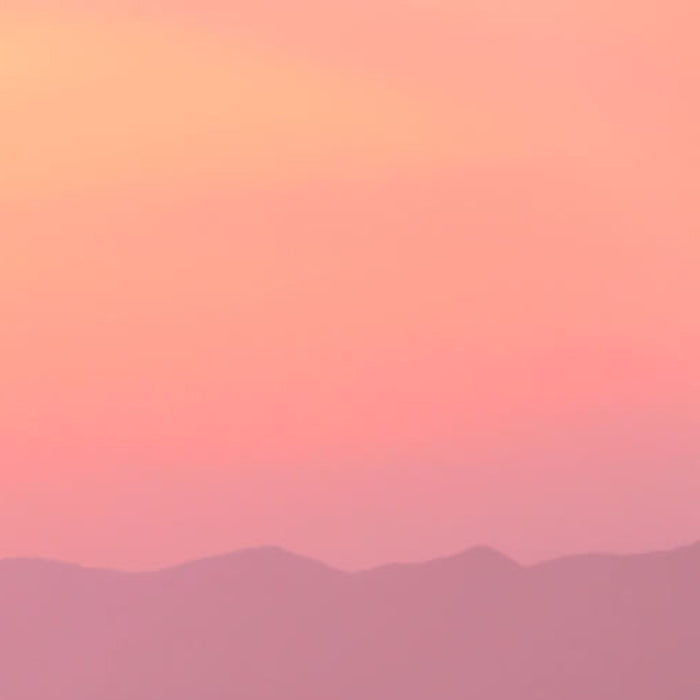 Vlies Fototapete | Forbidden Love | Größe 400 x 250 cm