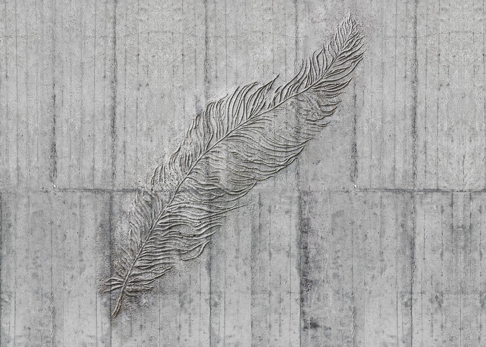 Vlies Fototapete | Concrete Feather  | Größe 350 x 250 cm